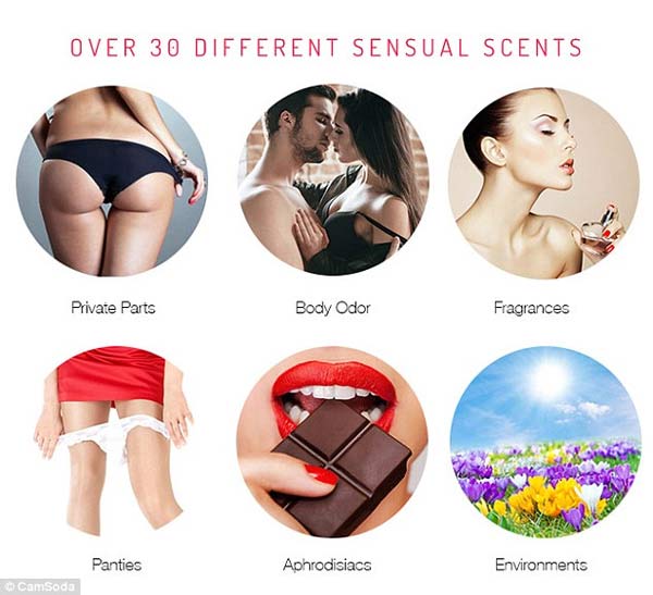 Sensory scents